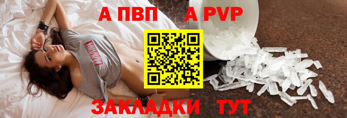 Альфа ПВП СК Майкоп