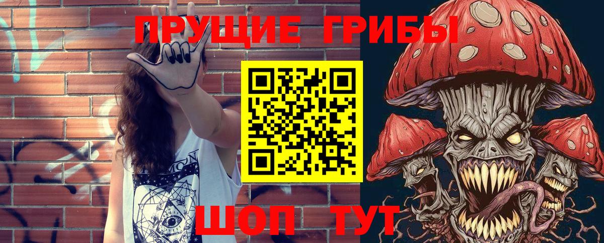 Псилоцибиновые грибы Cubensis Майкоп